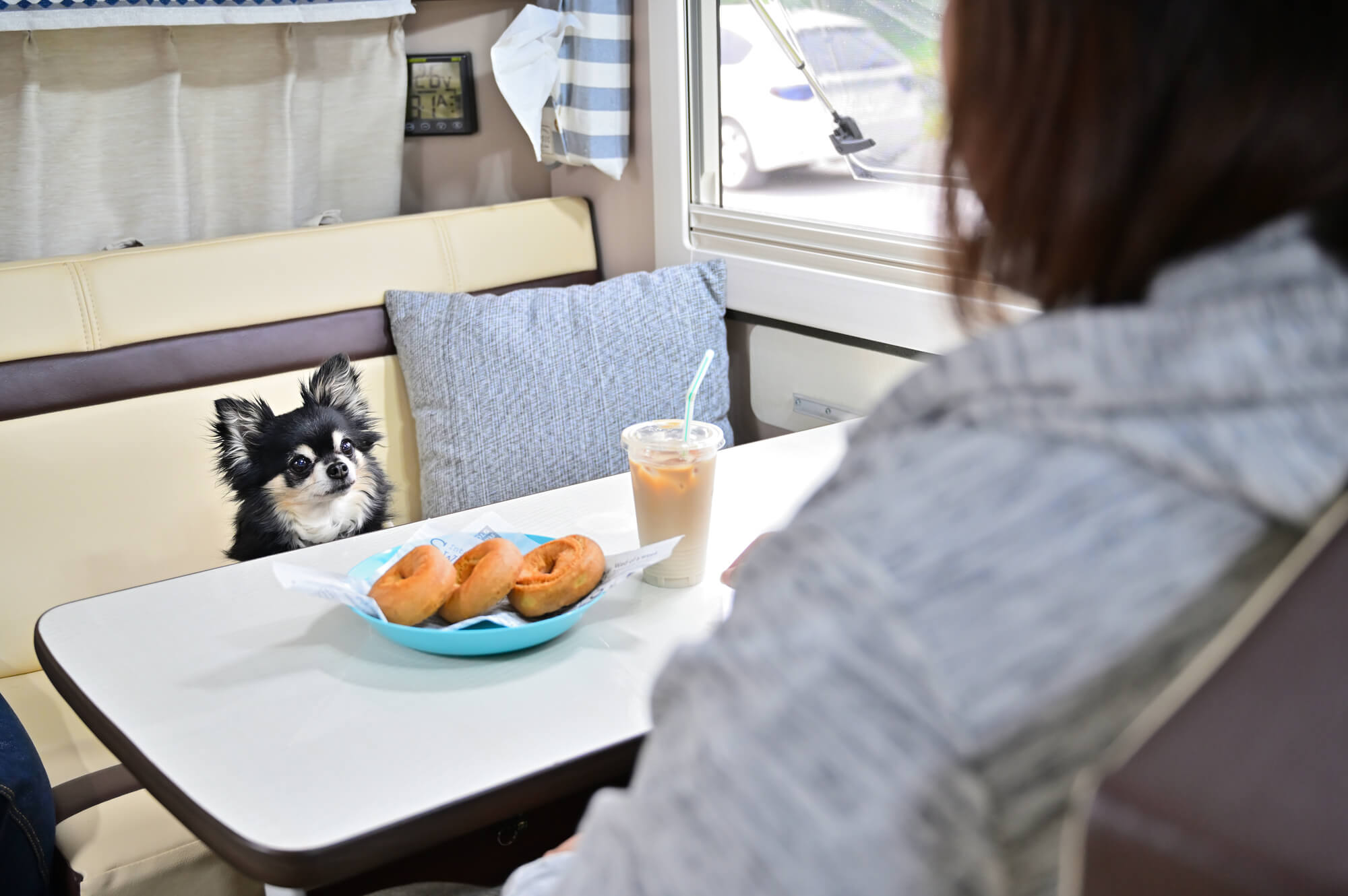 岩手県には素敵なドッグカフェがいっぱい！愛犬と一緒にお気に入りのドッグカフェを見つけに行こう！